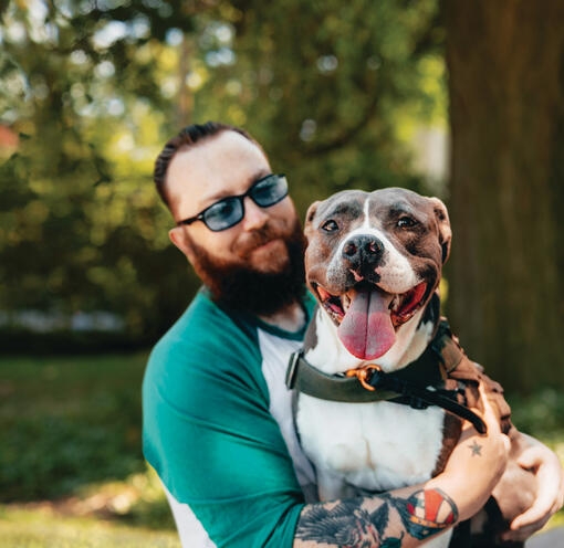 Pitbull
