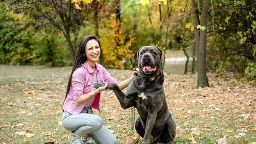 Mujer agachada junto a un perro grande de pelaje gris, en un parque con hojas caídas, dándose la pata y sonriendo