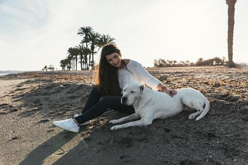 Mujer joven sentada en la arena acariciando a un perro blanco tumbado, en una playa con palmeras al atardecer