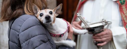 Mujer sosteniendo a un perro pequeño durante una bendición de animales, con un sacerdote sosteniendo un hisopo y un cuenco de