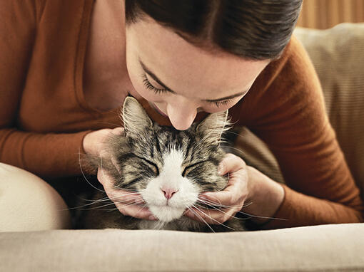 Gato y su dueño hipoalergénicos
