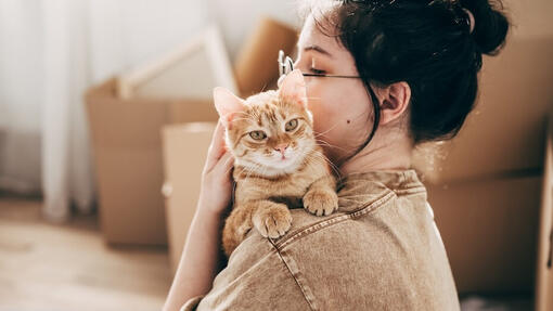 Persona sujetando a un gato