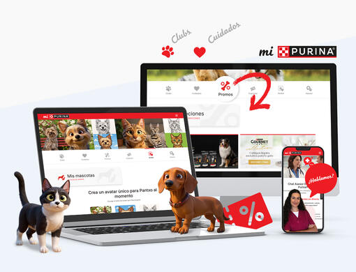 Pantallas internas de mi purina junto a avatares de mascotas