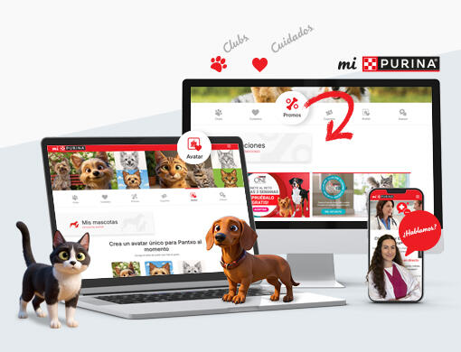 Pantallas internas de mi purina junto a avatares de mascotas