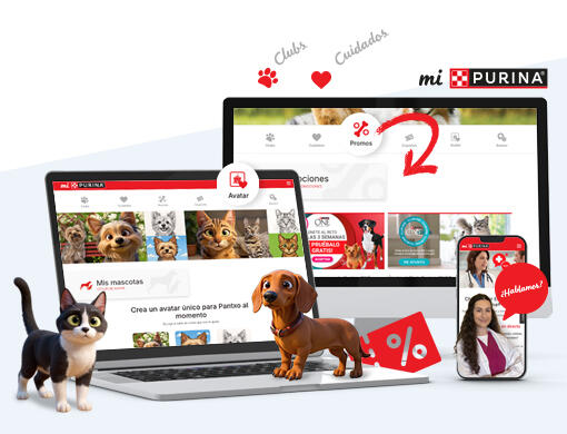 Un espacio creado para ti y tu mascota.