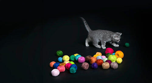 Gato gris jugando con ovillos multicolores