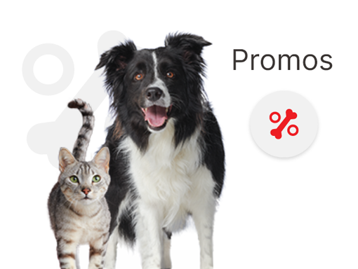Promos purina
