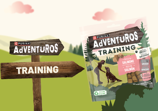 Gama Adventuros training