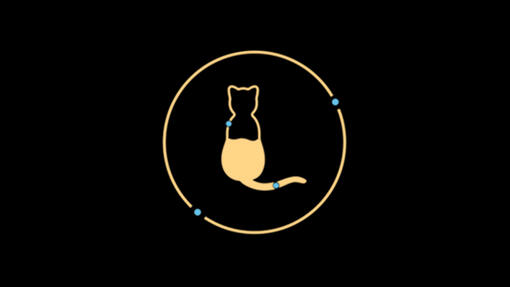 Gato lleno de agua