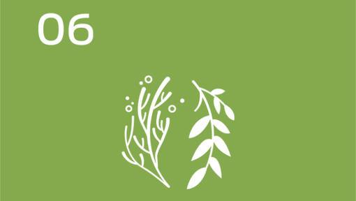 Compromiso 2030 con el Clima y la Naturaleza