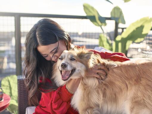  Premio Purina Better with Pets