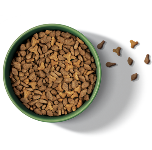 Friskies