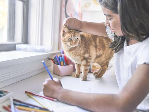 Mujer con discapacidad acariciando a su gato en el escritorio.