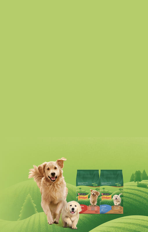 Descubre Friskies® para perros