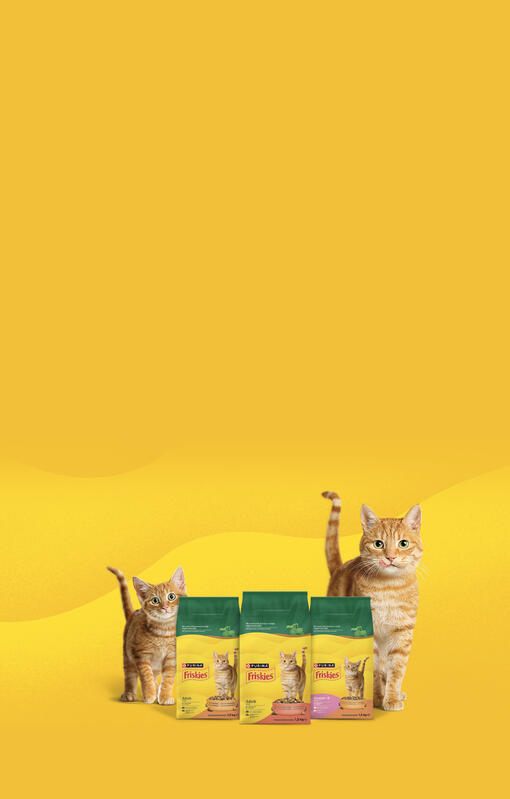 Descubre Friskies® para gatos