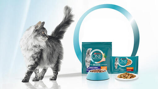Purina One