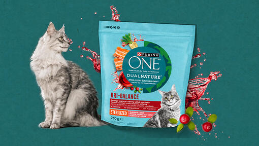 Purina One DualNature URI-BALANCE