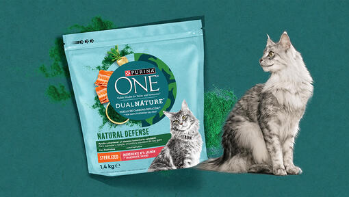 Purina One DualNature NATURAL DEFENCE