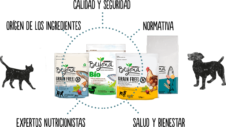 Cómo lo hacemos en Beyond® Cómo lo hacemos en Beyond®