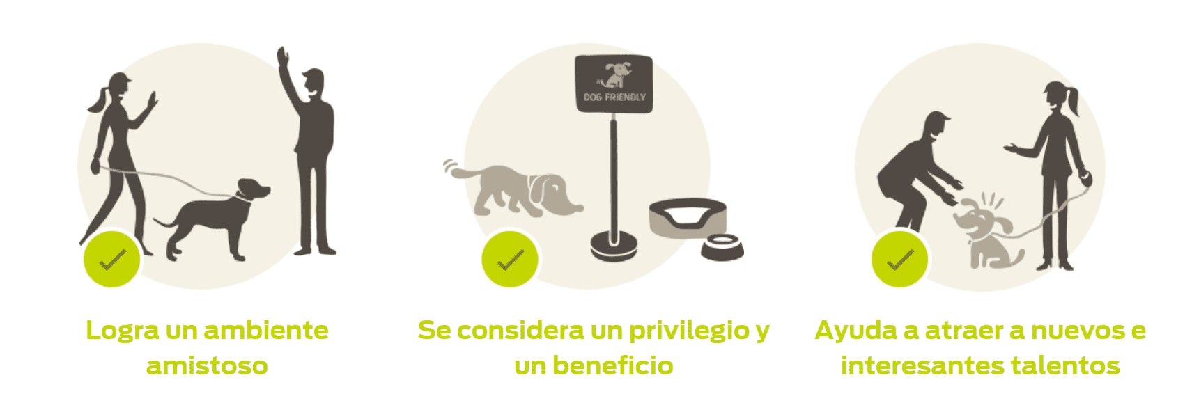 Infografía Mascotas en el puesto de trabajo Infografía Mascotas en el puesto de trabajo