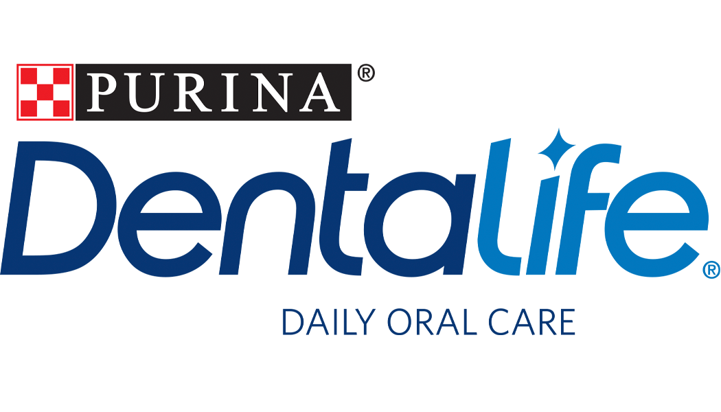 Dentalife logo Dentalife logo