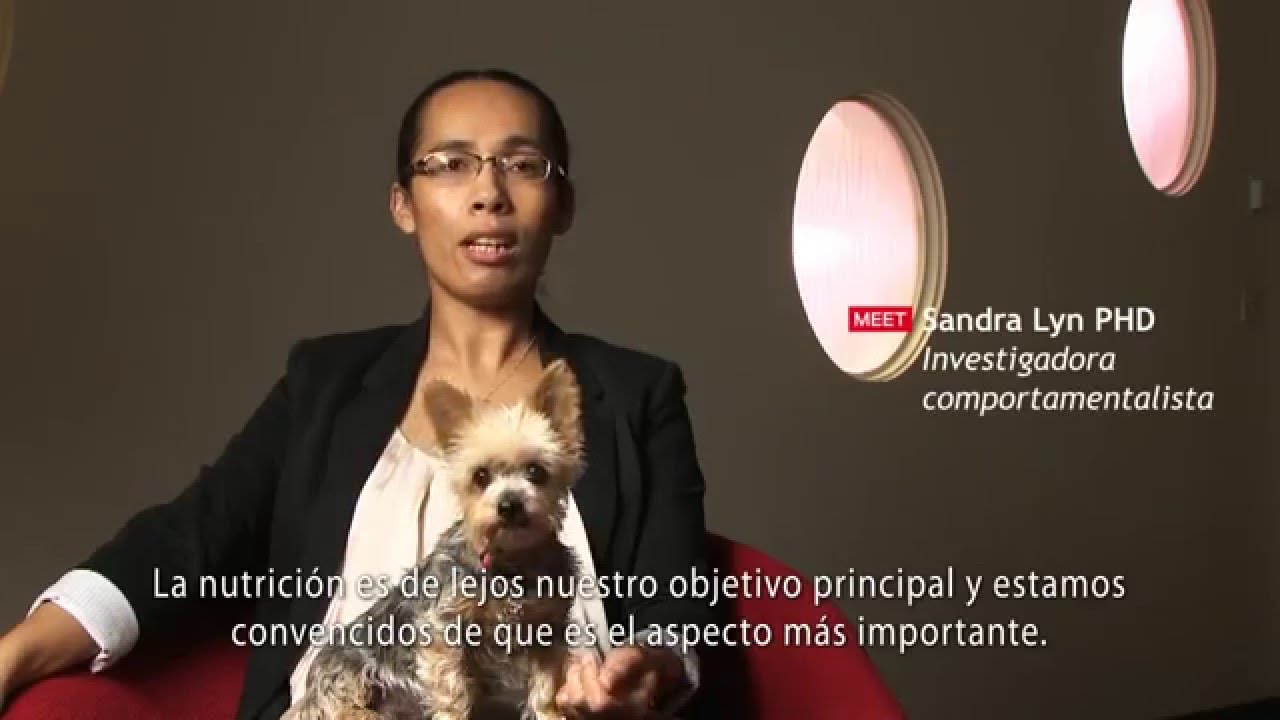 La nutrición de nuestras mascotas - PURINA®