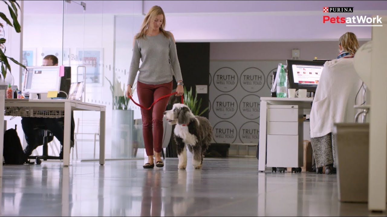 Purina - Pets at work ayuda a relajarnos