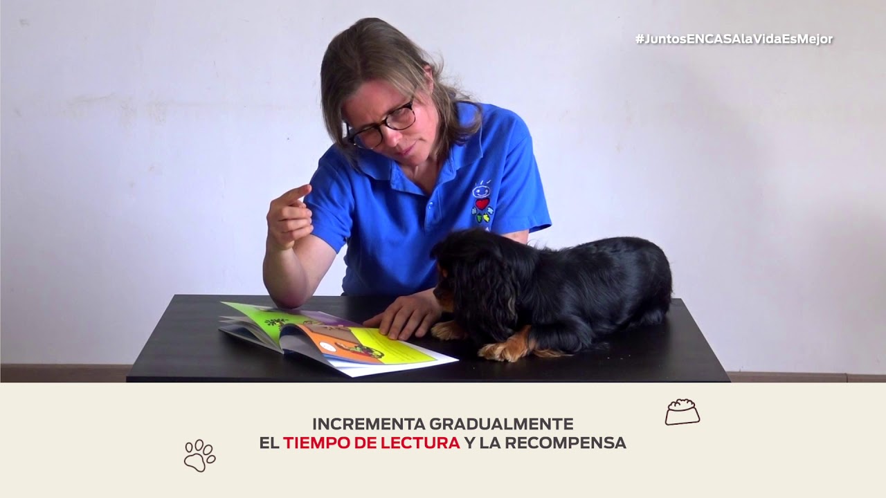 Cómo enseñar a tu perro a leer un cuento - Nestlé Purina