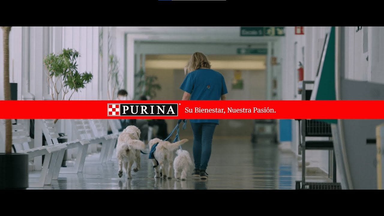 Mascotas en Hospitales - Vínculo humano-animal 20